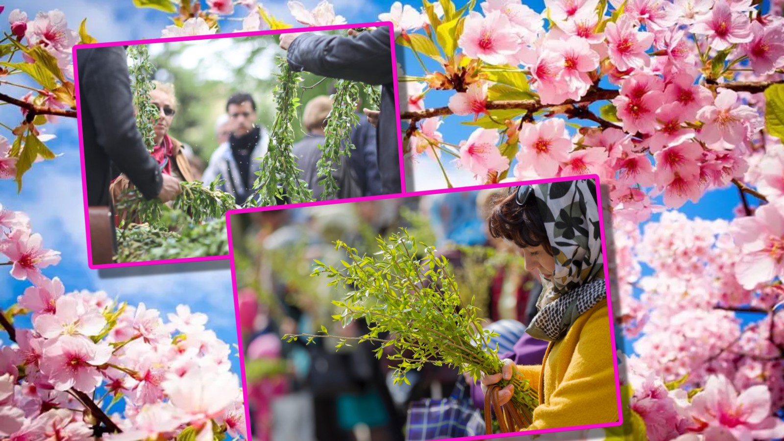 TRADIȚII și superstiții importante: iată în ce zi pică FLORIILE în anul...