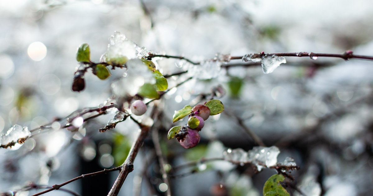 Alertă meteo în București! Temperaturile se prăbușesc în următoarele zile: Anunțul de ultimă oră al meteorologilor
