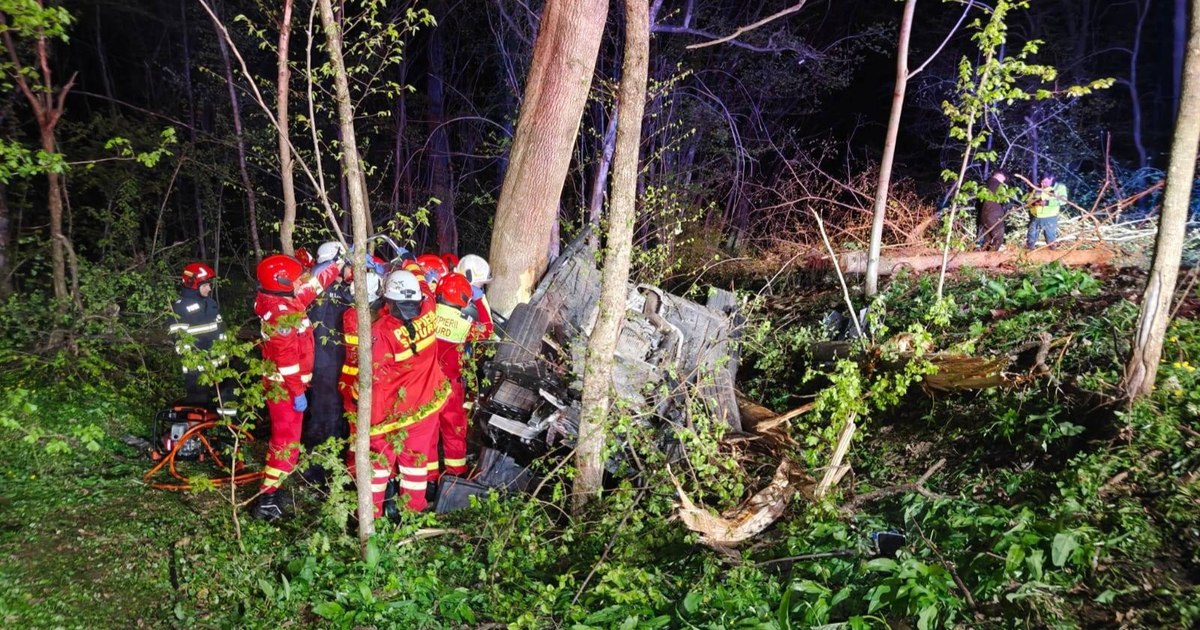 TRAGEDIE după plecarea de la palat. Ce au descoperit prietenii lui Mihai și David...