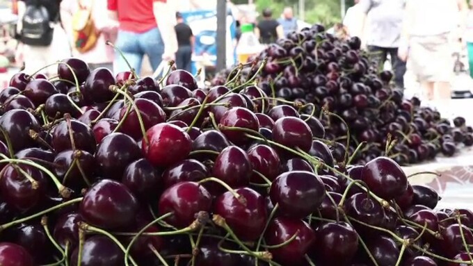 Au apărut primele CIREȘE pe tarabe, însă un kilogram a ajuns să COSTE…