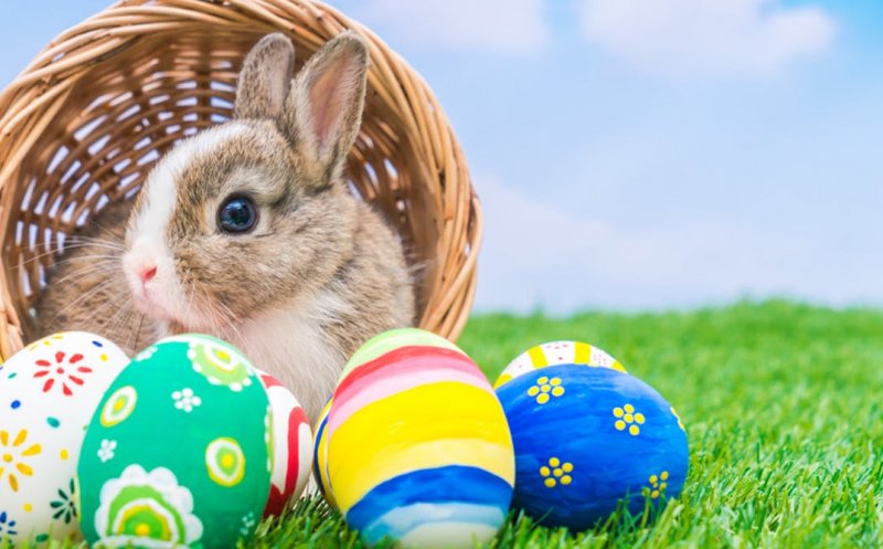 Situație RARĂ în calendar: Paștele ortodox și cel catolic vor fi celebrate la data de…