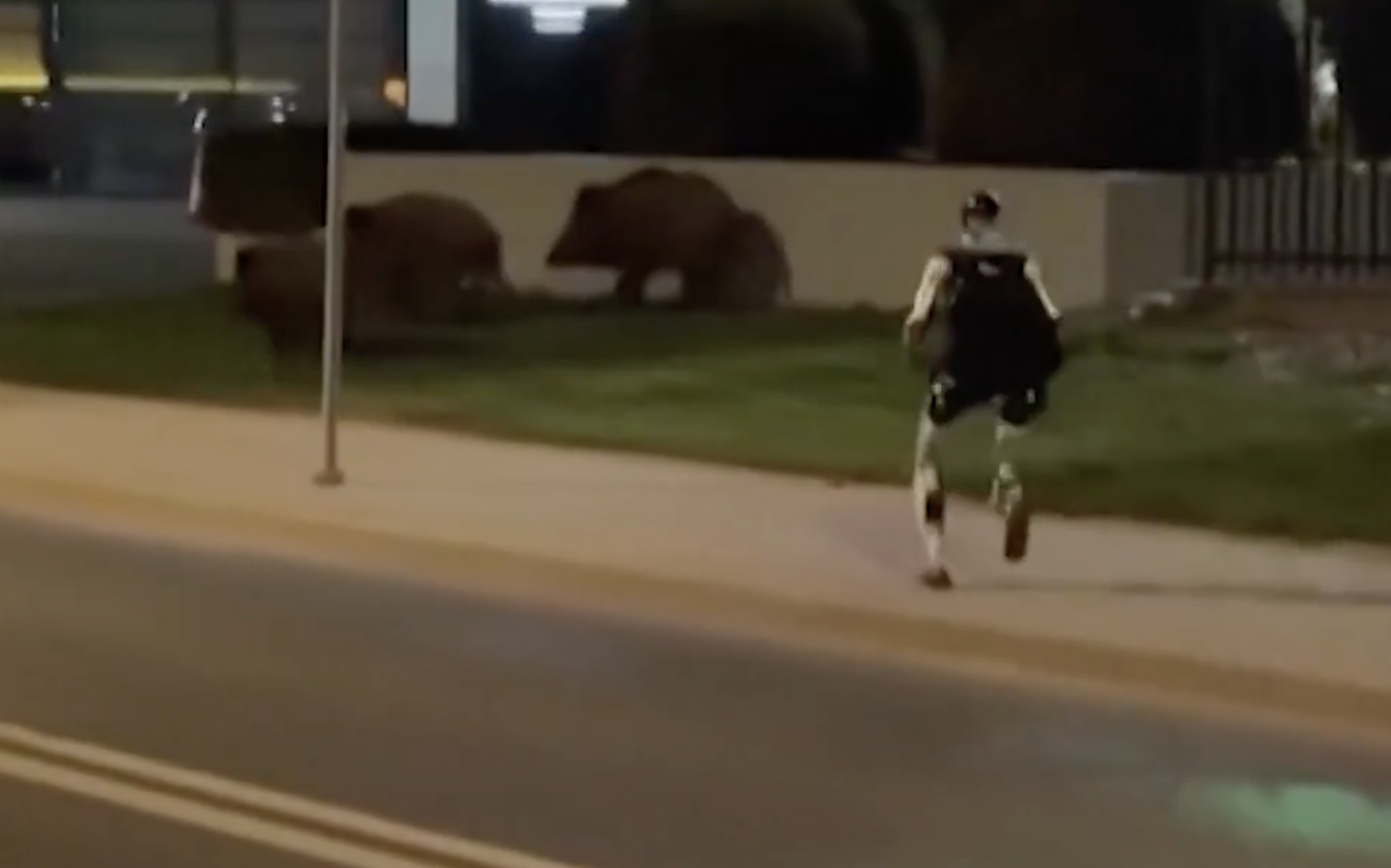 Un ROBOT a devenit viral după ce a început să alunge mistreții folosind…