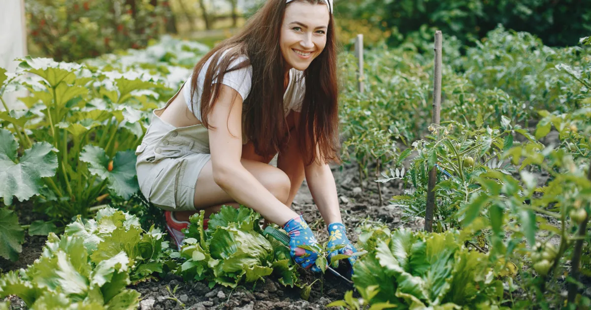 Grădinarii ISCUȚIȚI plantează aceste flori printre legume pentru a scăpa definitiv de…