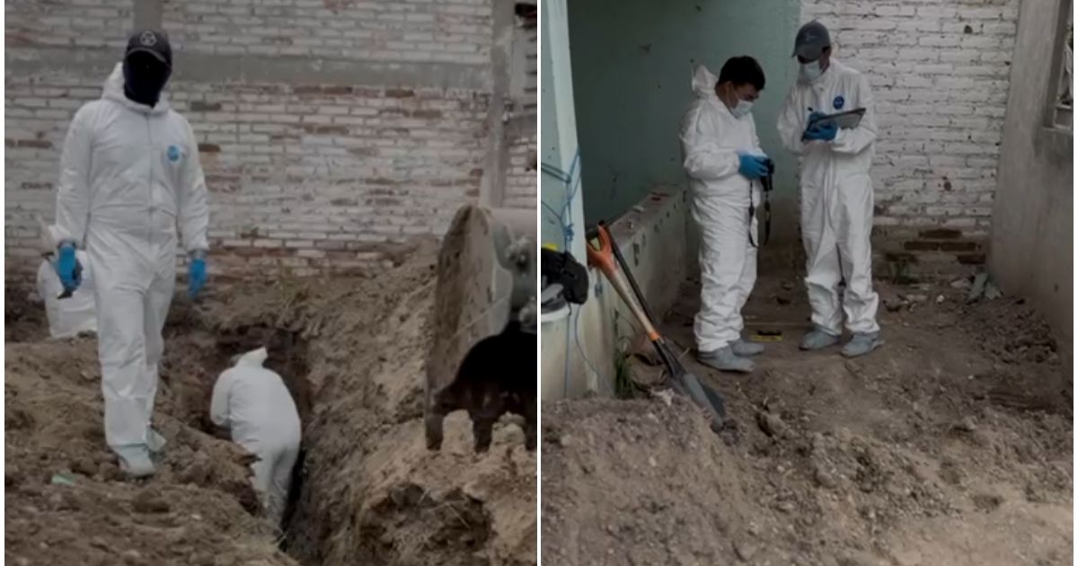 DESCOPERIRE TERIFIANTĂ într-o casă abandonată: autoritățile au găsit resturile a zeci de…