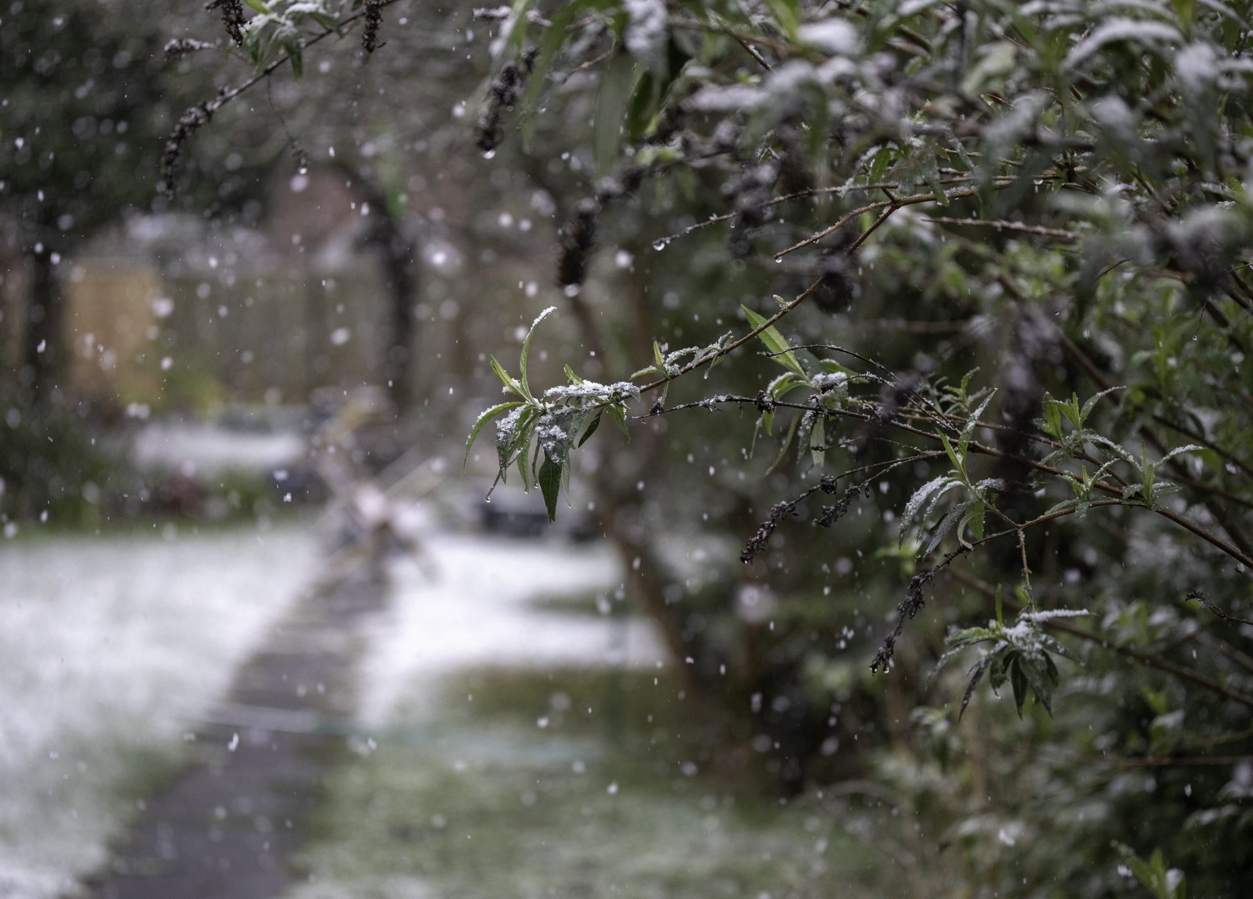 Vremea se SCHIMBĂ radical, iar meteorologii anunță că de mâine va începe să…