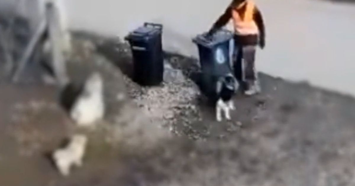 Un angajat de la salubritate are DOSAR PENAL după ce a fost filmat în timp ce…