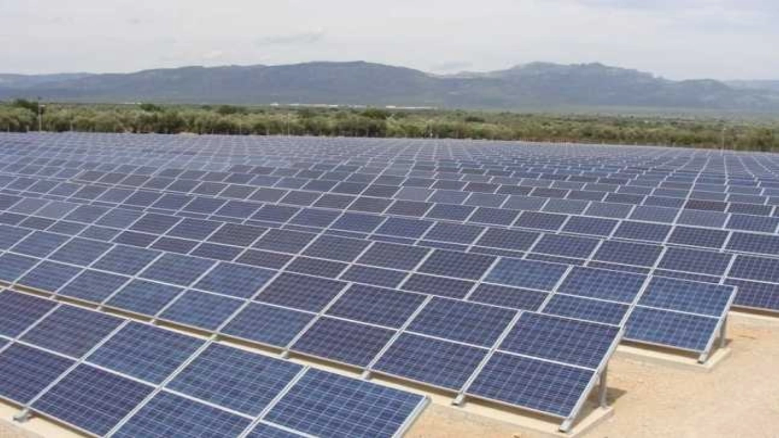 Hoții au GOLIT un parc fotovoltaic, dar prejudiciul uriaș depășește suma de…