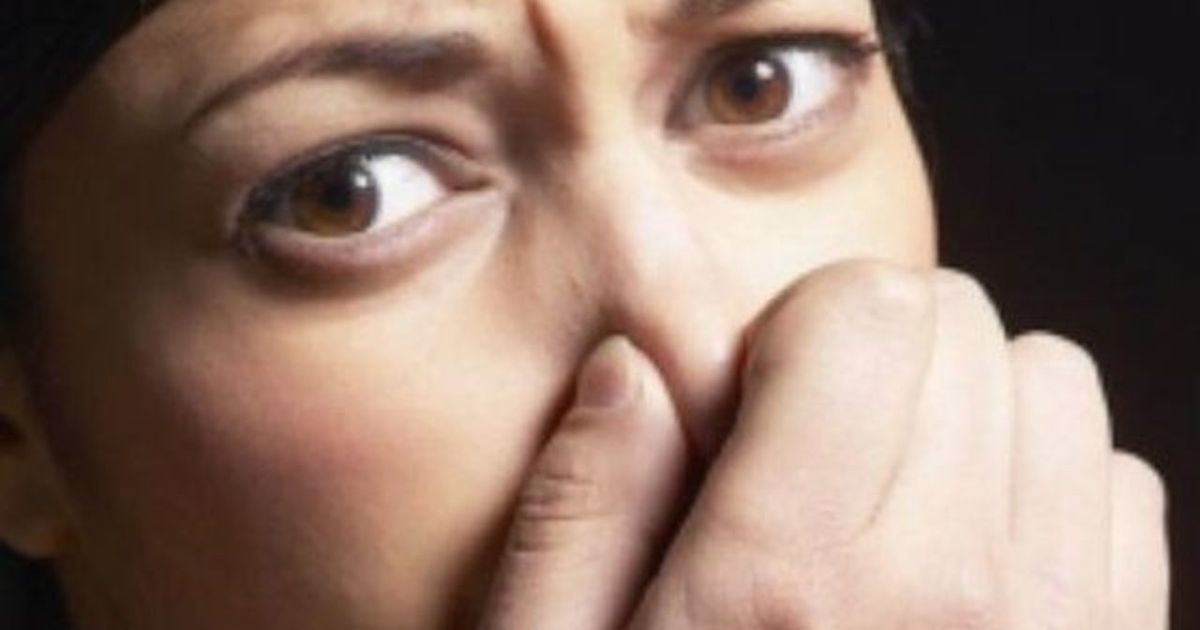 Oamenii stau cu geamurile închise din cauza unui MIROS care vine de la…