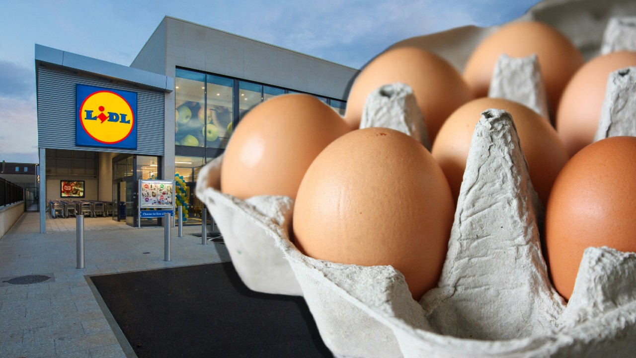 Ofertă INCREDIBILĂ la Lidl: prețul afișat la raft pentru un singur ou este de doar…