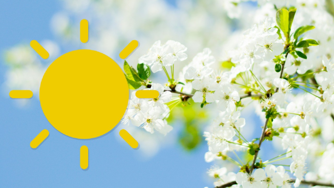 PROGNOZA ANM s-a schimbat radical iar temperaturile maxime vor atinge pragul de…