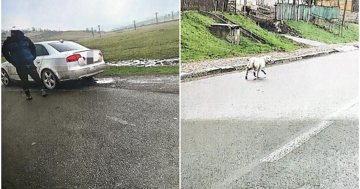 S-a oprit pe marginea drumului și a DESCHIS portiera, dar nu știa că…