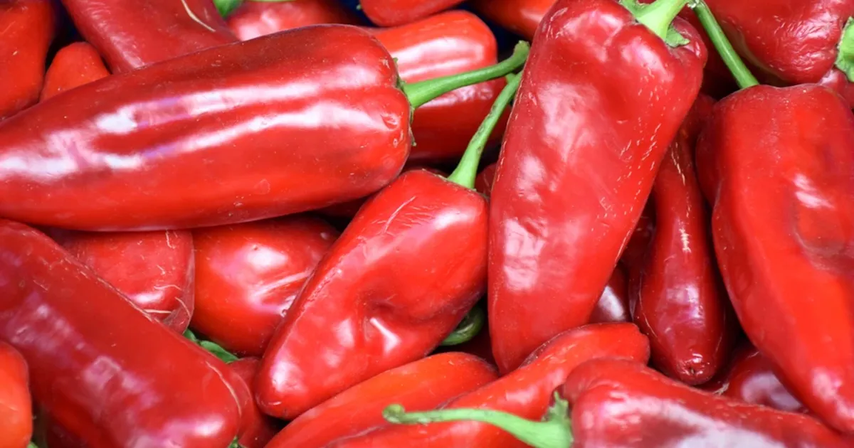 Pune acest INGREDIENT în apa ardeilor pentru a obține fructe uriașe și…