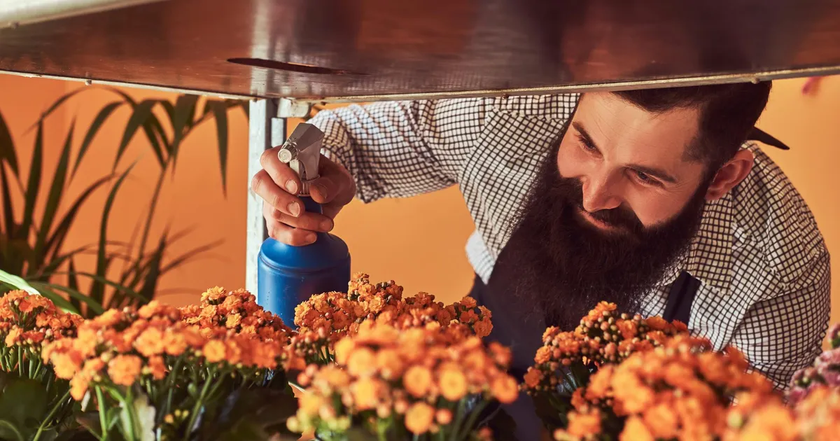 Pune APA OXIGENATĂ în ghiveciul florilor, dar numai dacă respecți acest dozaj de…