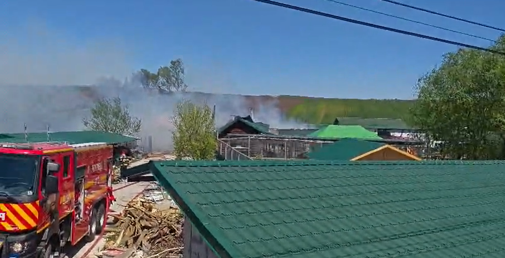 Incendiu DEVASTATOR la o grădină zoologică, unde mai multe animale au murit, inclusiv un…