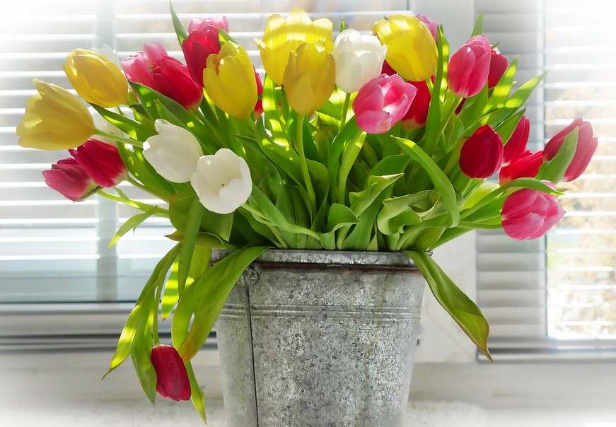 Secretul din bătrâni care păstrează florile PROASPETE se bazează pe o simplă…