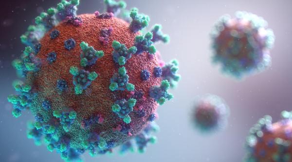AL TREILEA caz suspect de infectare cu un virus periculos a fost confirmat…