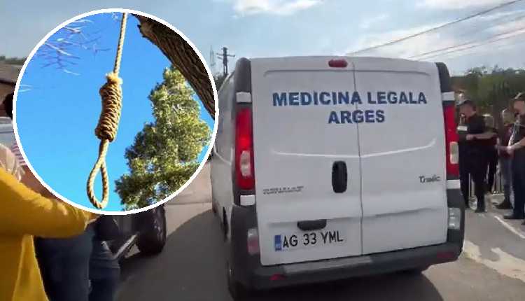 Descoperire TERIBILĂ la o stână după ce un bărbat a lăsat un…