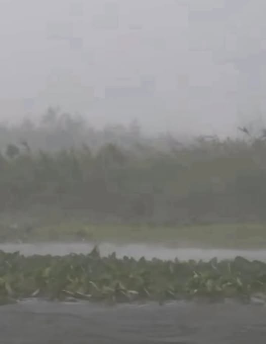 S-a rupt cerul în Tulcea! Ce au pățit localnicii imediat după canicula extremă. Imagini greu de privit