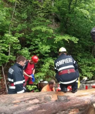 Tragedie fără margini în Harghita! Un bărbat a fost găsit parțial mâncat de urs. Localnicii se tem pentru viețile lor