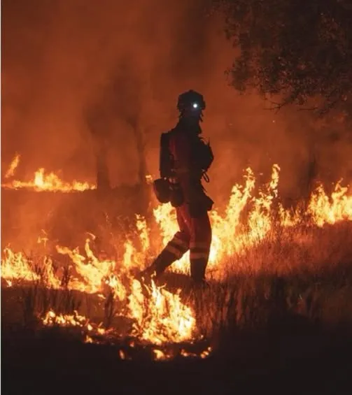Spania instituie starea de urgență națională în Madrid și Avila din cauza incendiilor de vegetație. Peste 10.000 de oameni au fost evacuați