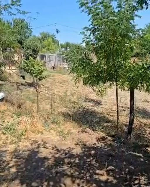O bătrână din Galați a fost găsită îngropată în curte. Nepoata i-a încasat pensia timp de doi ani după deces