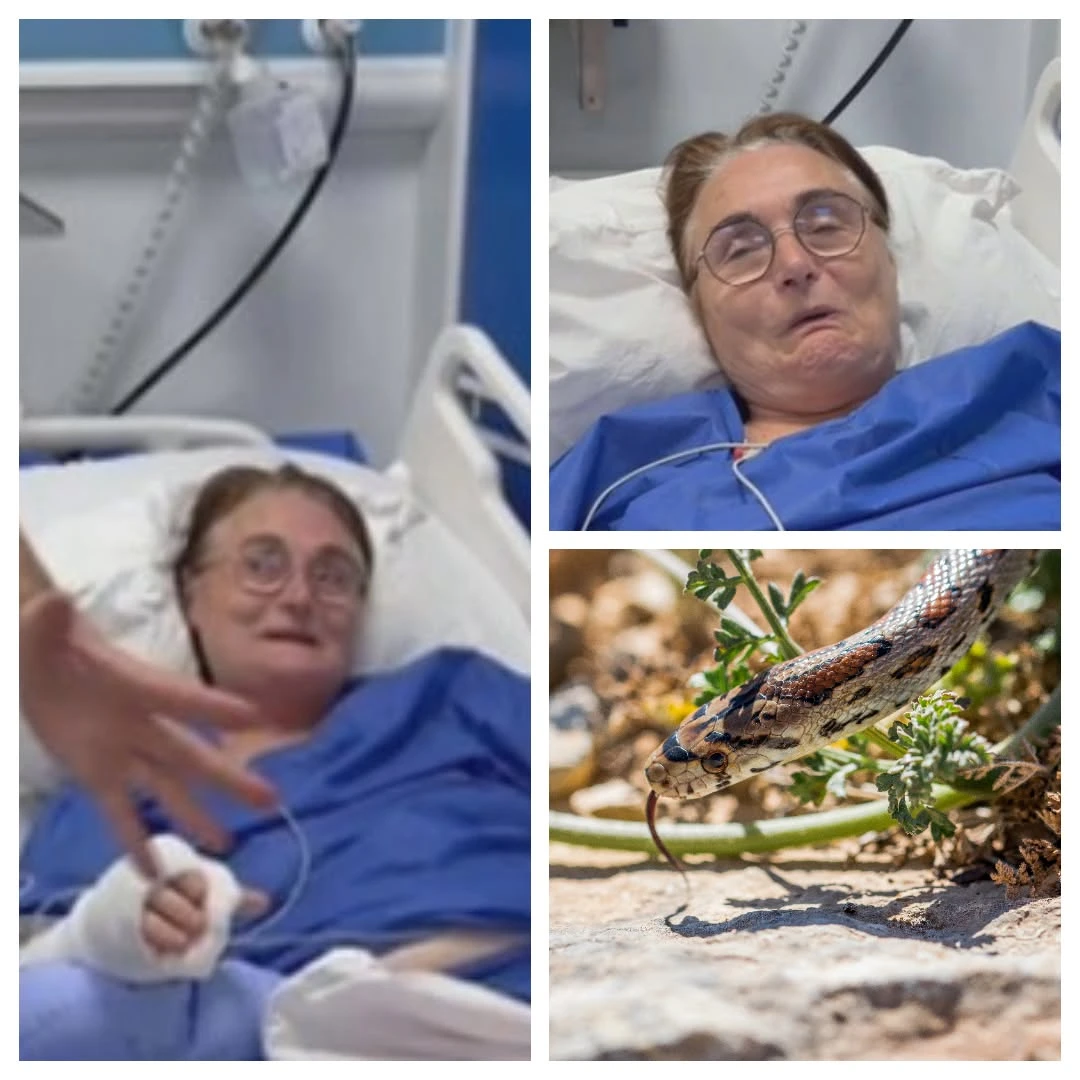 A vrut să salveze un „șerpișor drăgălaș”. A fost mușcată de două ori și internată