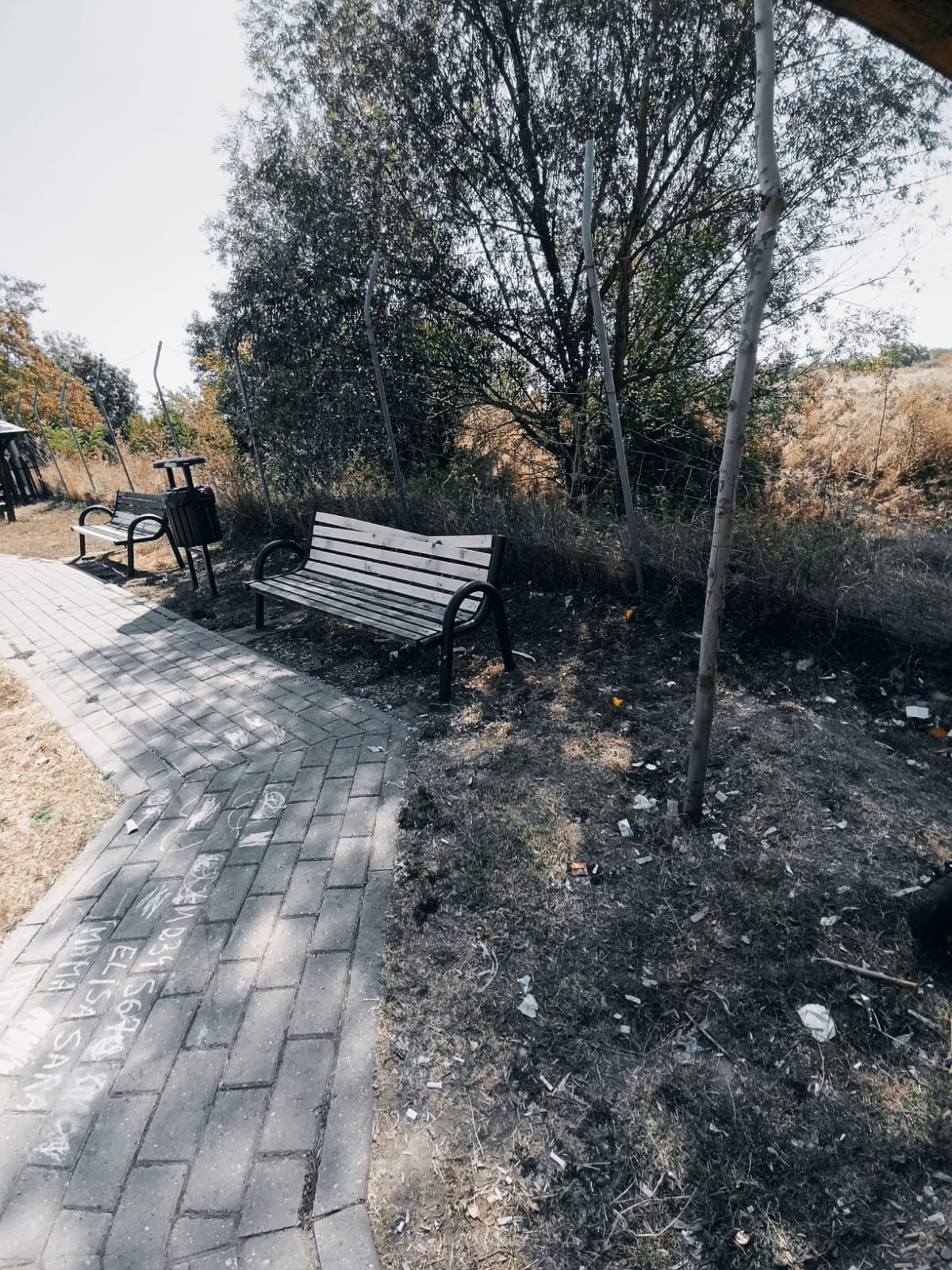 „Banii nu au venit de la tine”. Răspunsul Primăriei Ghiroda când e întrebată de parcuri, șoferi și containere
