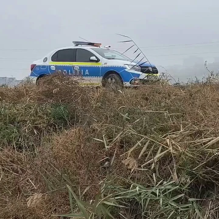 ȘOC! Bătrân bătut în cuie de șase tineri, printre care și un minor! A murit… Vezi mai mult