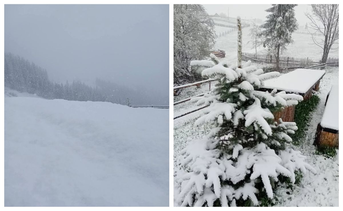Când este așteptată prima ninsoare din acest an în București. Prognoza meteo pentru noiembrie și decembrie